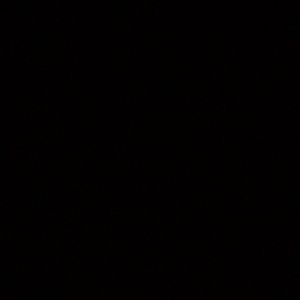 Meet your Posher, Sofia